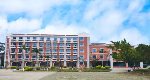 集大海外教育學(xué)院凝心聚力抗疫情 集思廣議謀發(fā)展